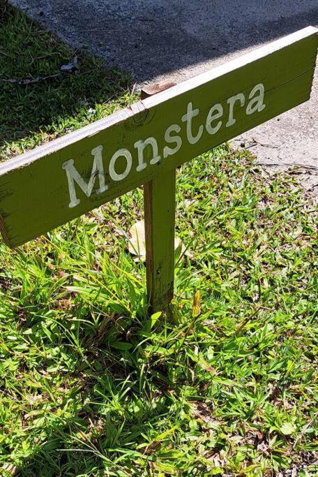Monstera Bungalow, Spacious, King Bed, Big Kitchen Apartment