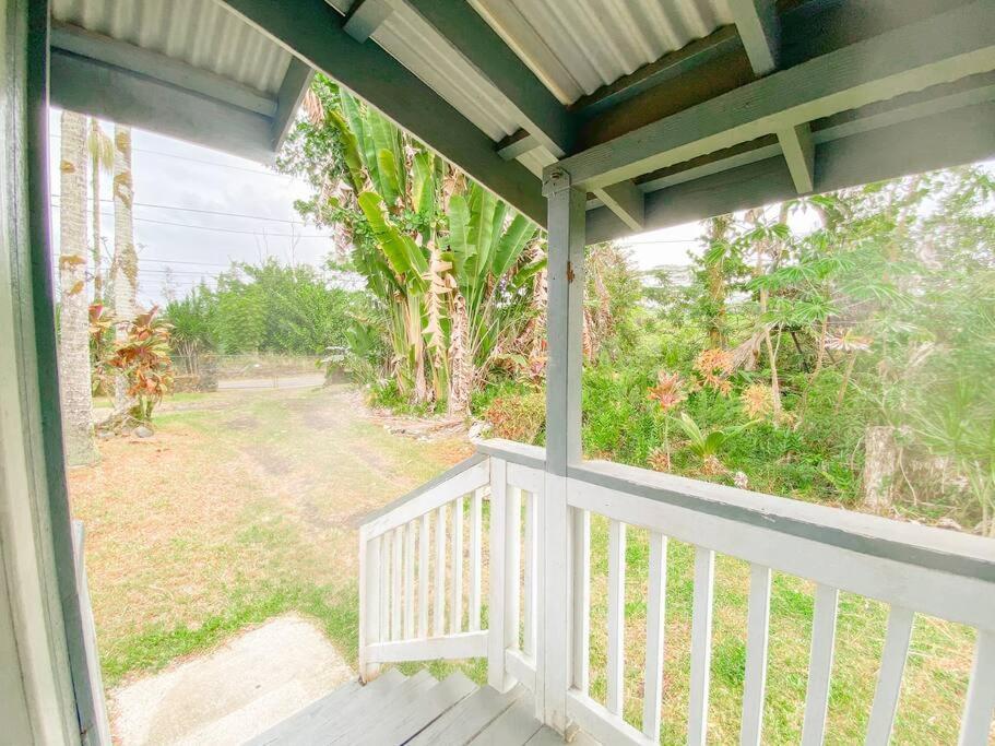 Apartment Monstera Bungalow, Spacious, King Bed, Big Kitchen